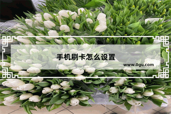 手机刷卡怎么设置