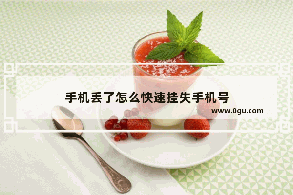 手机丢了怎么快速挂失手机号