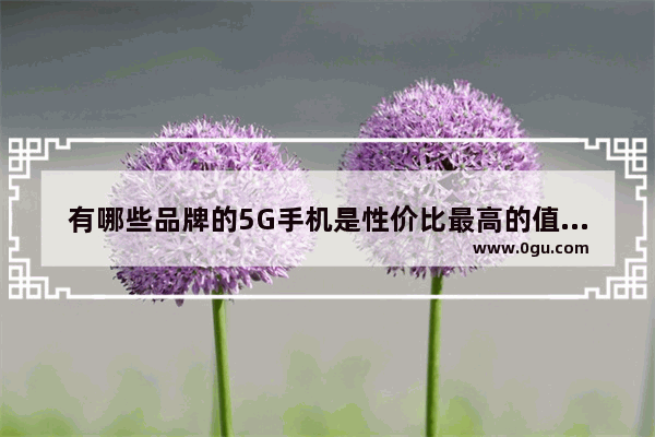 有哪些品牌的5G手机是性价比最高的值得入手的