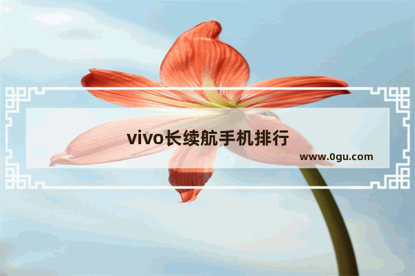vivo长续航手机排行