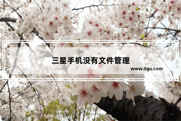 三星手机没有文件管理