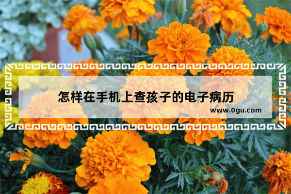 怎样在手机上查孩子的电子病历