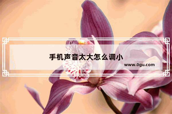 手机声音太大怎么调小