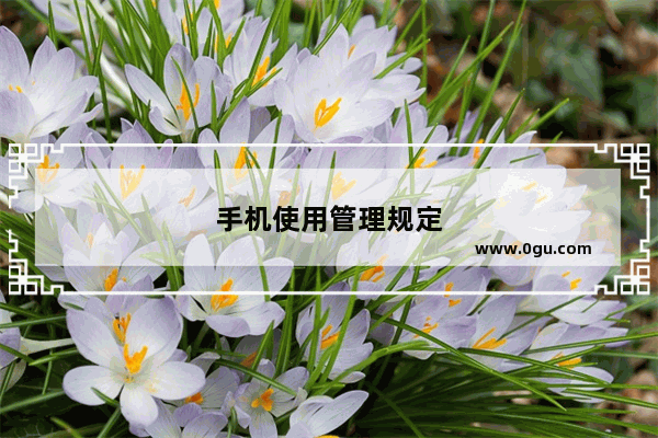 手机使用管理规定