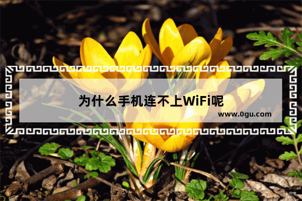 为什么手机连不上WiFi呢