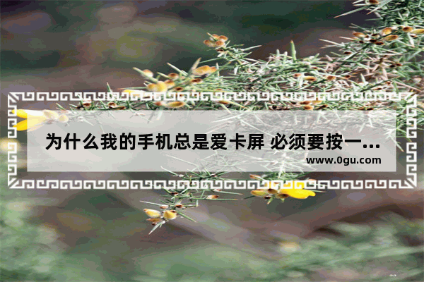 为什么我的手机总是爱卡屏 必须要按一下返回键才能恢复流畅