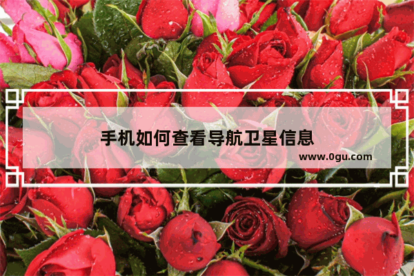 手机如何查看导航卫星信息