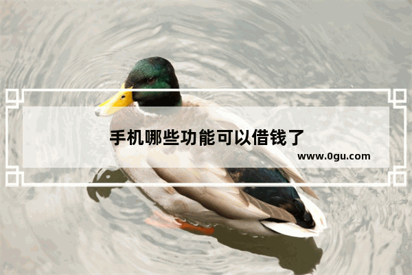 手机哪些功能可以借钱了