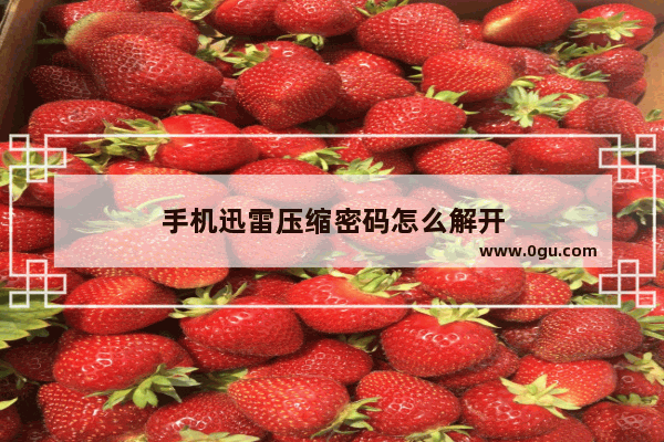 手机迅雷压缩密码怎么解开