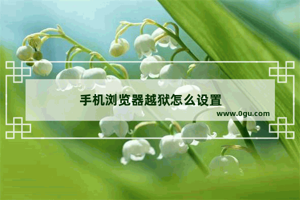 手机浏览器越狱怎么设置