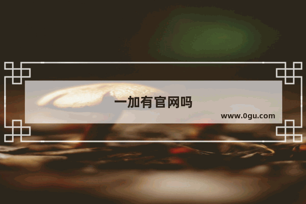 一加有官网吗