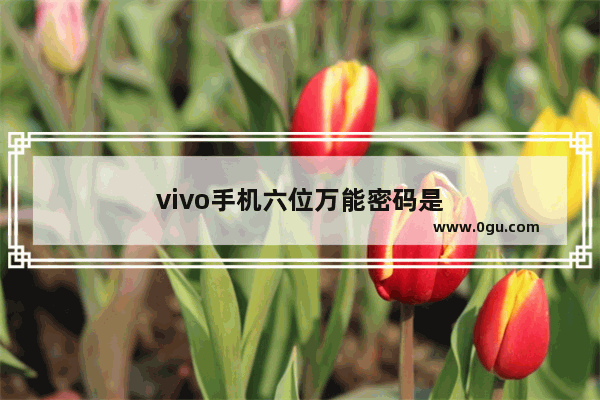vivo手机六位万能密码是