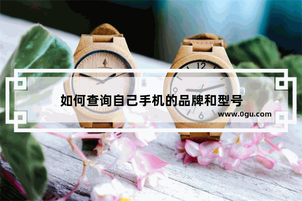 如何查询自己手机的品牌和型号