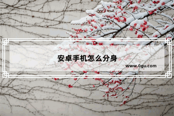 安卓手机怎么分身