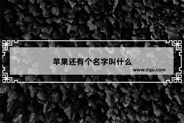 苹果还有个名字叫什么