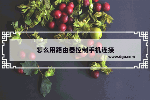 怎么用路由器控制手机连接