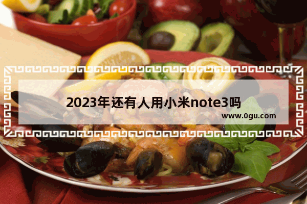 2023年还有人用小米note3吗