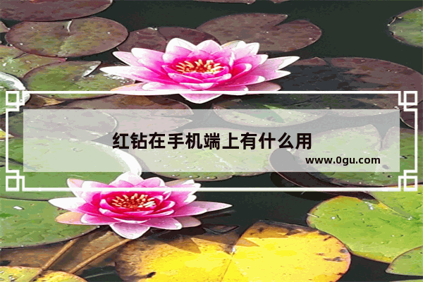 红钻在手机端上有什么用