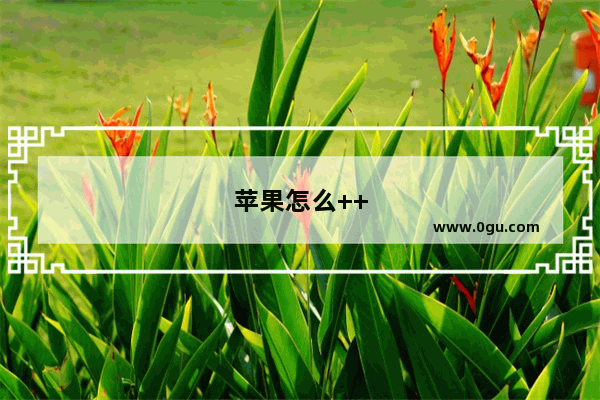 苹果怎么++