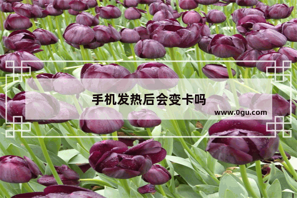 手机发热后会变卡吗