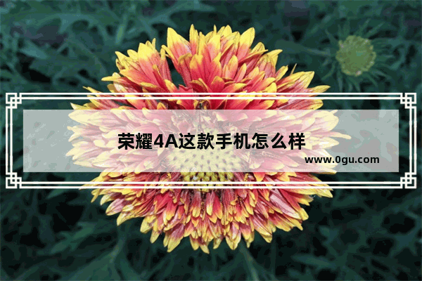 荣耀4A这款手机怎么样