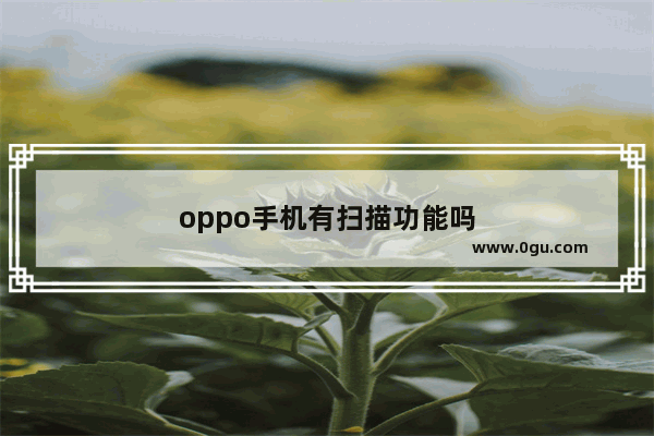 oppo手机有扫描功能吗