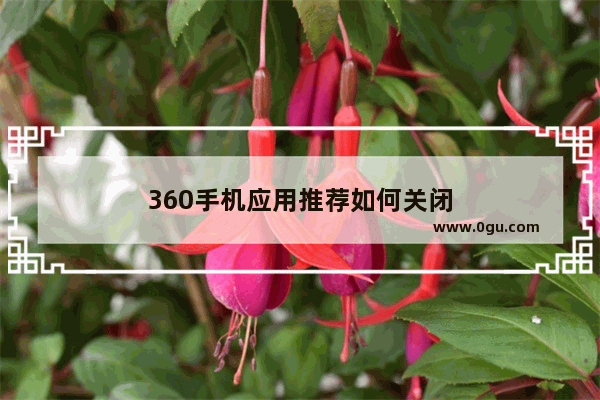 360手机应用推荐如何关闭