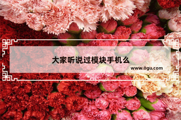 大家听说过模块手机么