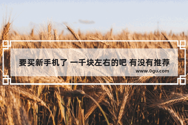 要买新手机了 一千块左右的吧 有没有推荐的