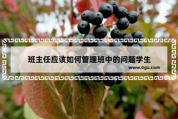 班主任应该如何管理班中的问题学生