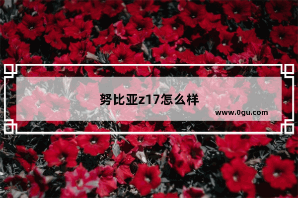 努比亚z17怎么样