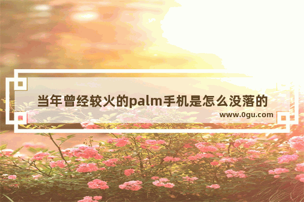 当年曾经较火的palm手机是怎么没落的