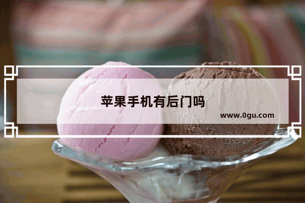 苹果手机有后门吗
