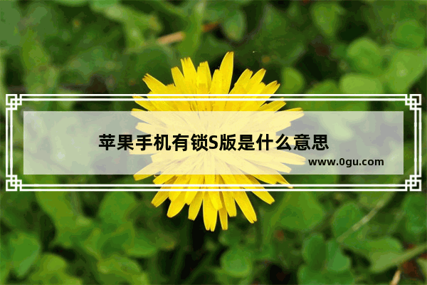 苹果手机有锁S版是什么意思