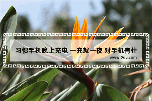 习惯手机晚上充电 一充就一夜 对手机有什么影响吗？损害大吗