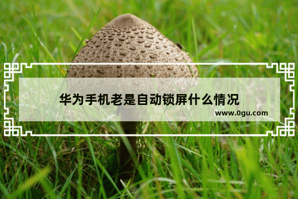 华为手机老是自动锁屏什么情况