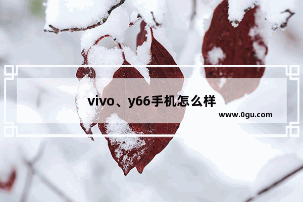 vivo、y66手机怎么样