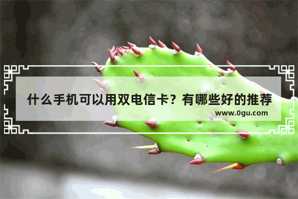 什么手机可以用双电信卡？有哪些好的推荐
