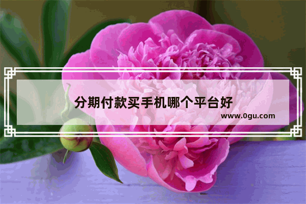 分期付款买手机哪个平台好