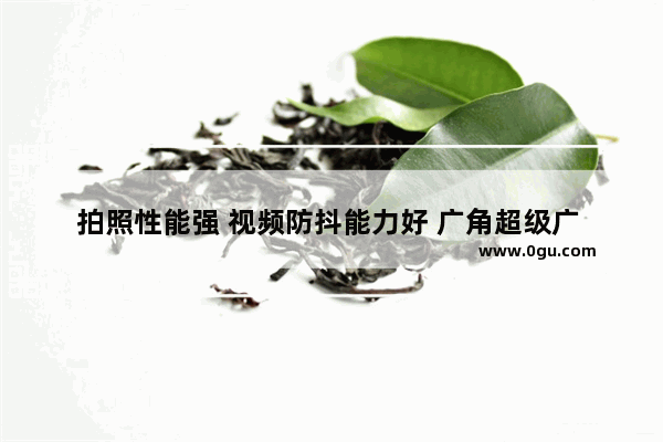 拍照性能强 视频防抖能力好 广角超级广 性价比高的手机有什么推荐