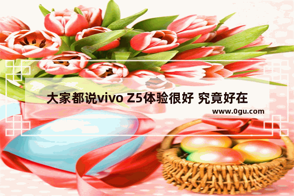 大家都说vivo Z5体验很好 究竟好在哪里