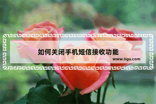 如何关闭手机短信接收功能