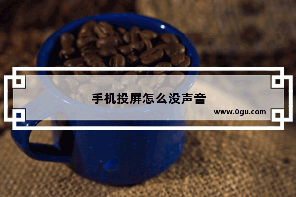 手机投屏怎么没声音