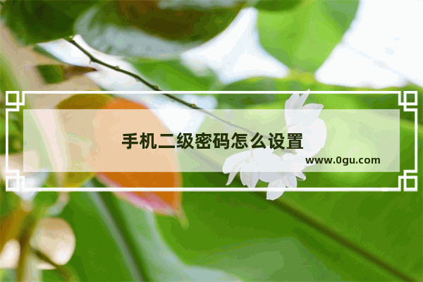 手机二级密码怎么设置