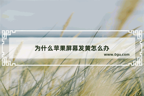 为什么苹果屏幕发黄怎么办