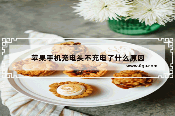 苹果手机充电头不充电了什么原因