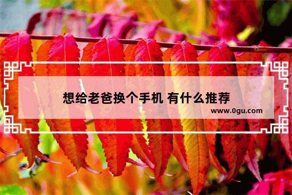 想给老爸换个手机 有什么推荐