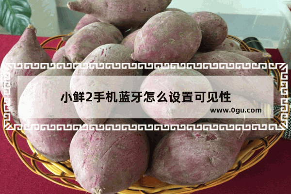 小鲜2手机蓝牙怎么设置可见性