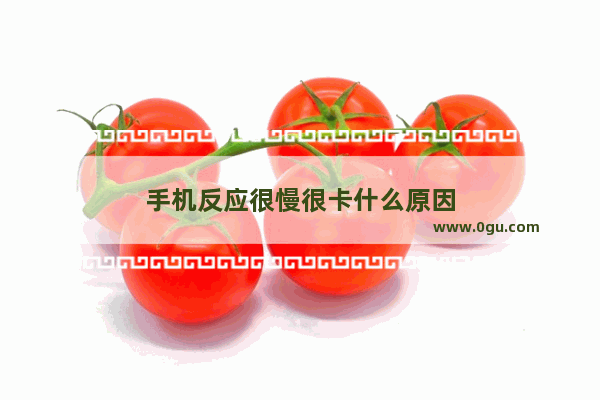 手机反应很慢很卡什么原因