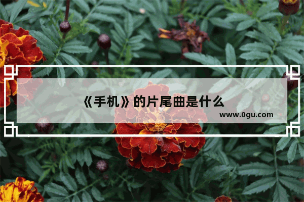 《手机》的片尾曲是什么